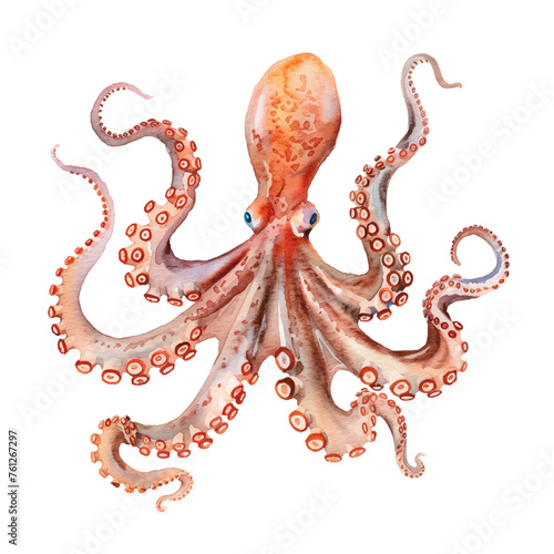 watercolor octopus good quality and good design