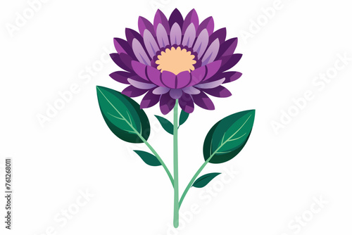  Aster flower with stem and dark green leaves vectors art illustration