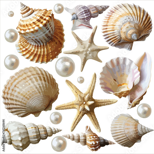 Seashells and Pearls Cliparts