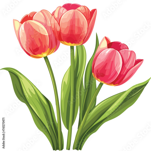 Spring Tulips clipart isolated on white background