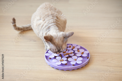 Interactive Cat Toy Slow Feeder- IQ Training Toy, Treat Boredom Dispensing Refillable for domestic cats. Entertaining, mental challenges game. Slow feeder...