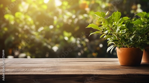 wooden table with green plant on blurred background of trees