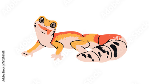 Leopard gecko with colourful patterned skin. Cute fat tailed lizard. Little exotic reptile, small animal of jungle. Rainforest fauna. Tropical reptilian. Flat isolated vector illustration on white