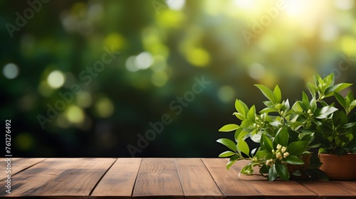 wooden table with green plant on blurred background of trees