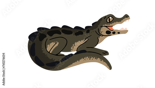 African dwarf crocodile. Cute baby alligator, cub of caiman. Small exotic river beast, little water reptile, amphibian animal. Swamp fauna. Flat isolated vector illustration on white background