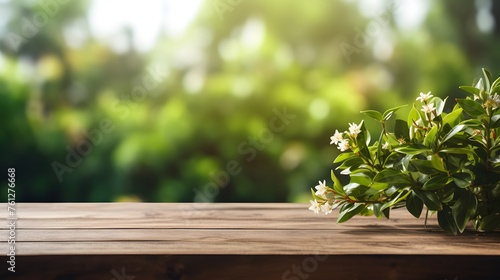 wooden table with green plant on blurred background of trees