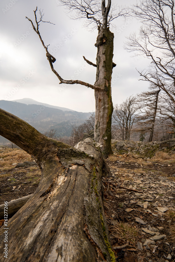 Wandern auf den Himpelsberg im Lausitzer Gebirge 2 Wandern auf den Himpelsberg im Lausitzer Gebirge 2