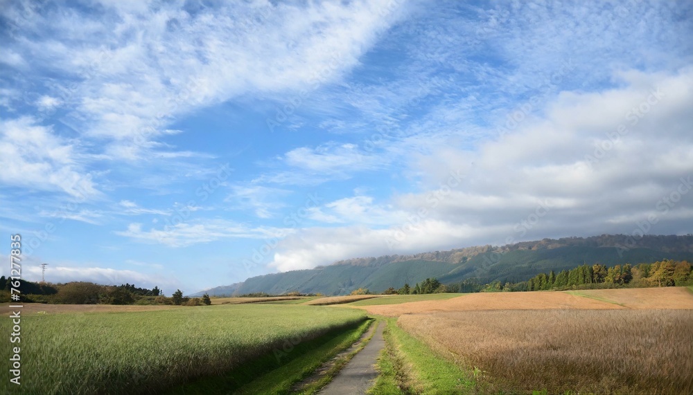 Fototapeta premium 地元、田舎道、ふるさと、田舎