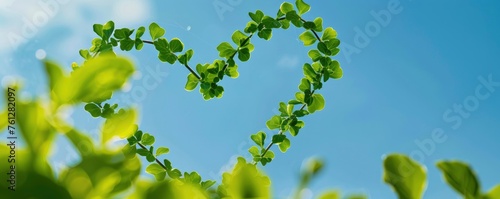 A Heart-Shaped Arrangement of Green Plants Against a Blue Sky, Wherein Front Green Leaves Form an Abstract Love Pattern, Enriching the Natural Environment with Symbolic Beauty.