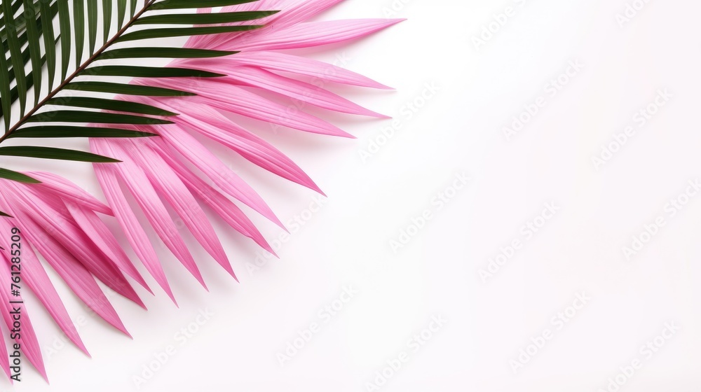 Obraz premium A palm tree with pink tropical leaves on a white background with a place to copy text. The concept of recreation, tourism and sea travel.