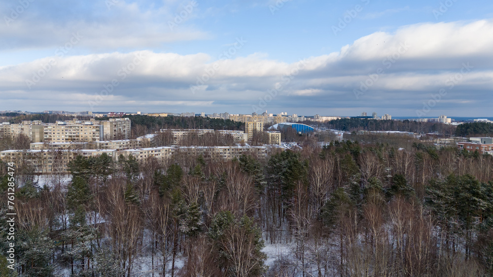 Drone photography of a public park forest and city landscape on horizon during winter day