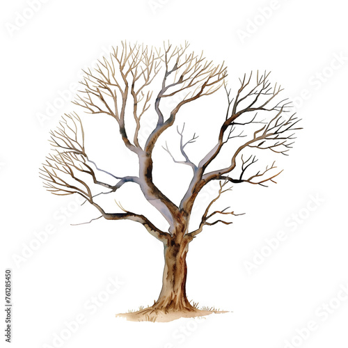 tree withered watercolor good quality and good design