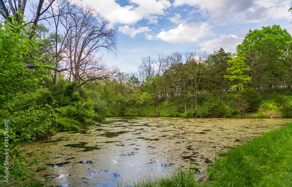 Cedar Creek & Belle Grove National Historical Park Cedar Creek & Belle Grove National Historical Park