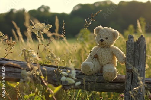 Perched on a rustic wooden fence, a teddy bear and wooden rattle overlook a sun-kissed meadow.