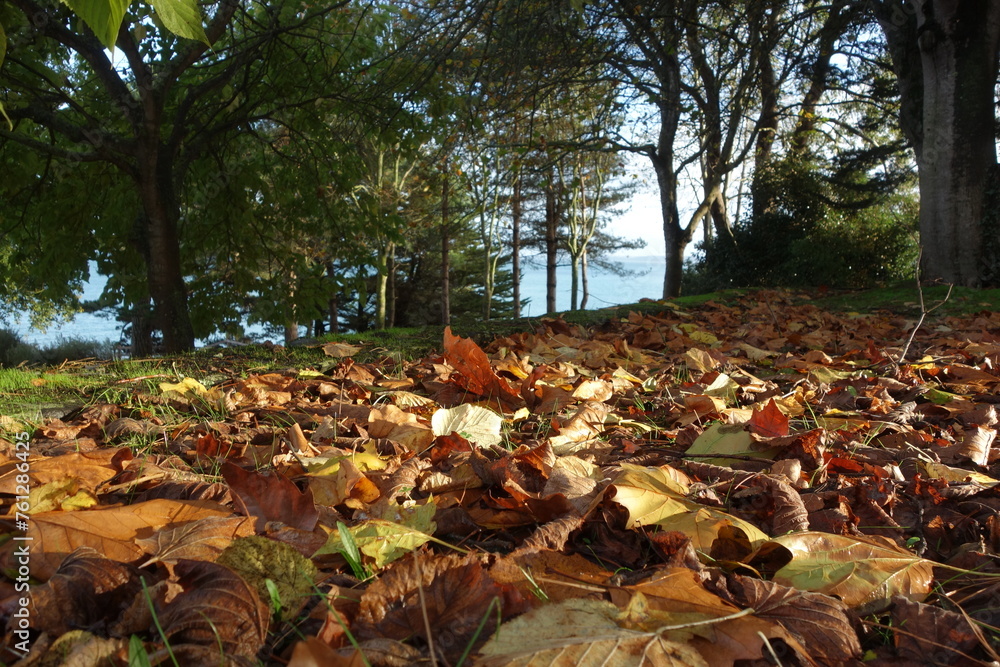 Obraz premium PAYSAGE D'AUTOMNE 1