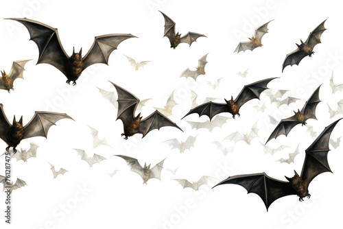 Bats Flying Mammals photo