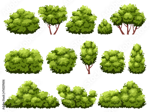 Cartoon bushes. Green plants, decorative garden hedge, flat shrubbery trees, deciduous forest elements, different shapes. Summer park plants. Outdoor decorate landscape. Vector isolated set