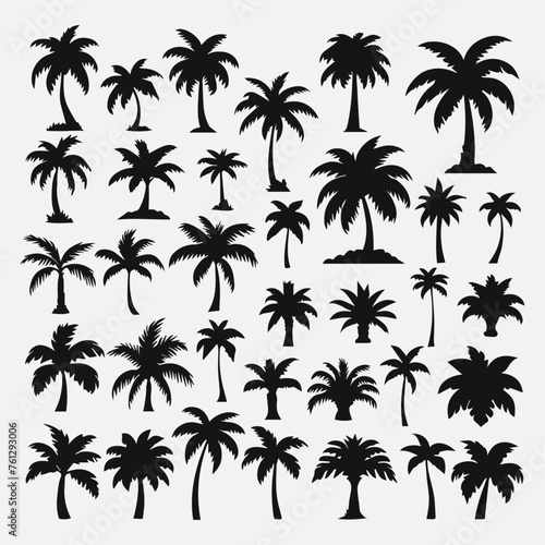 flat design palm trees silhouette collection © AinStory