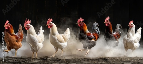 Vividly colored hens pecking in the dust at a lively farmyard with a vibrant atmosphere