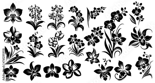 Stylised Single-Color Orchid Illustration Set