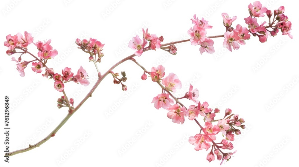 Coral limonium flowers twig. Generative AI