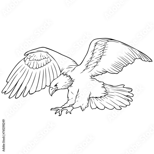 eagle line vector illustration