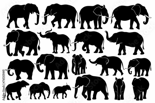 Various type species elephant with different-poses  silhouette vector artwork