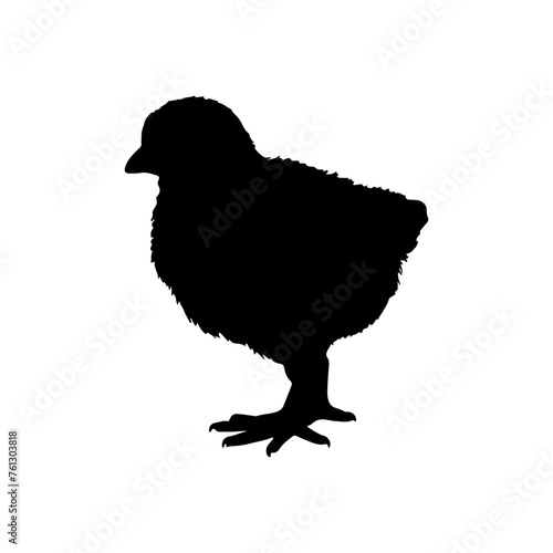 silhouette of a chick vector illustration 