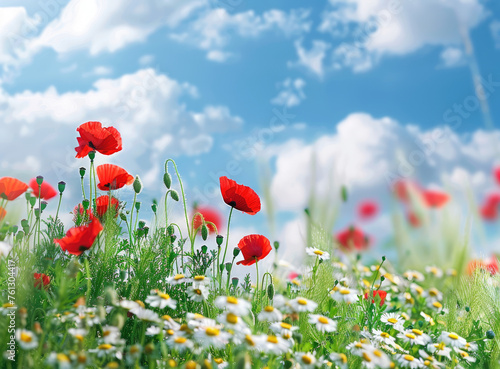 Beautiful spring meadow with red poppies and daisies  blue sky with clouds in the background