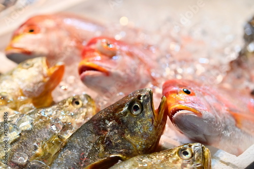 At Nanjichang Night Market in Taipei, a stir-fry stall offers affordable and diverse seafood. This close-up shot captures the fresh fish available, showcasing Taiwan's vibrant food scene. photo