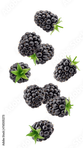 Canvas Print Falling blackberry isolated on white background, full depth of field