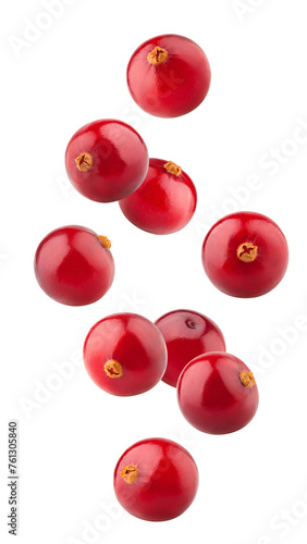 Falling cranberry isolated on white background, full depth of field © grey