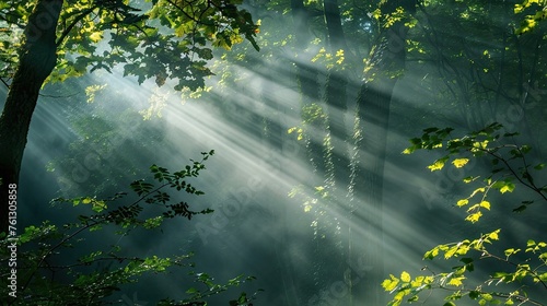 Sunbeams in green woods. Generative AI