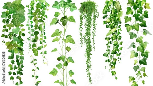 Wallpaper Mural Transparent creeper plants. Generative AI Torontodigital.ca