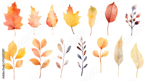 Assorted Autumn Leaves Watercolor Set on White Background