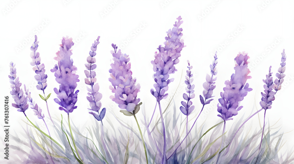 Naklejka premium Watercolor Painting of Lavender Flowers in Bloom