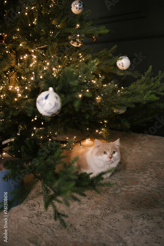 Obraz na płótnie Beautiful New Year decor, fluffy cat under the Christmas tree w salonie