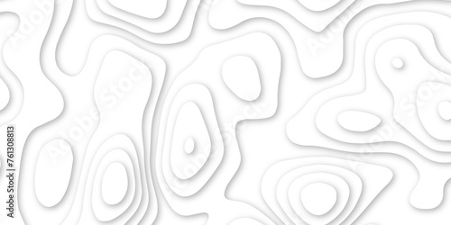 Abstract geometric layered curve line white background. 3d render, paper cut vector art background banner texture. multi layer cutout geometric patterns with smooth wavy layer. white background.   