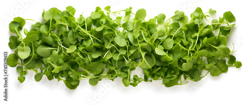 Various green salad flying leaves  on white background top view