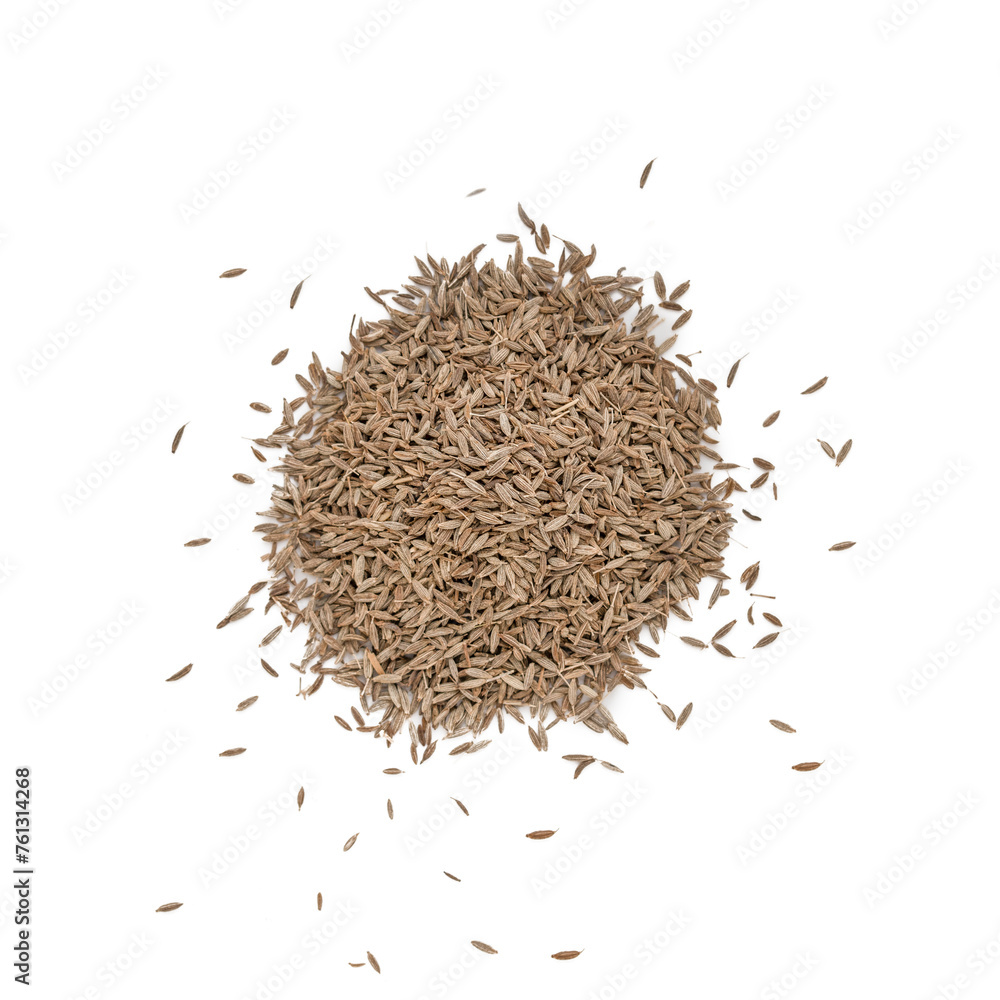 Heap of dry fennel seeds on white, top view, directly above Heap of dry fennel seeds on white, top view, directly above