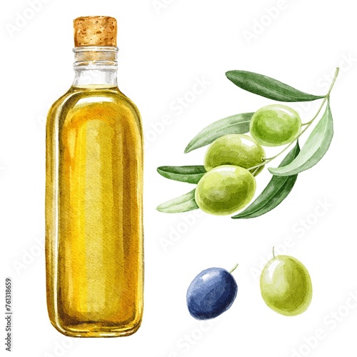 Olive oil in a bottle with olives berries on white, hand drawn food illustration  © Ann Lou