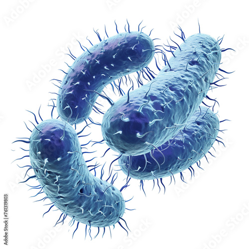 3d rendered illustration of bacteria