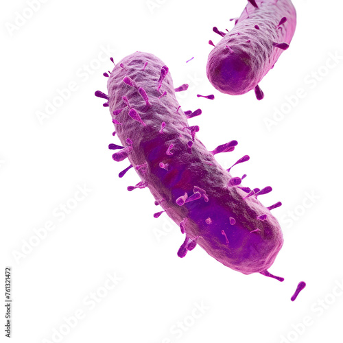 3d rendered illustration of bacteria
