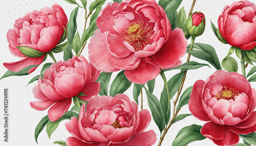 Set of watercolor fresh red peony flowers with green leaf branches