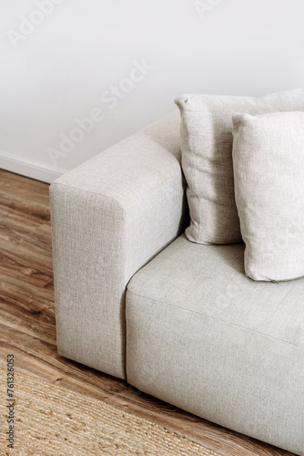 Modern sofa with comfort armrest and decorative pillows in cozy living room