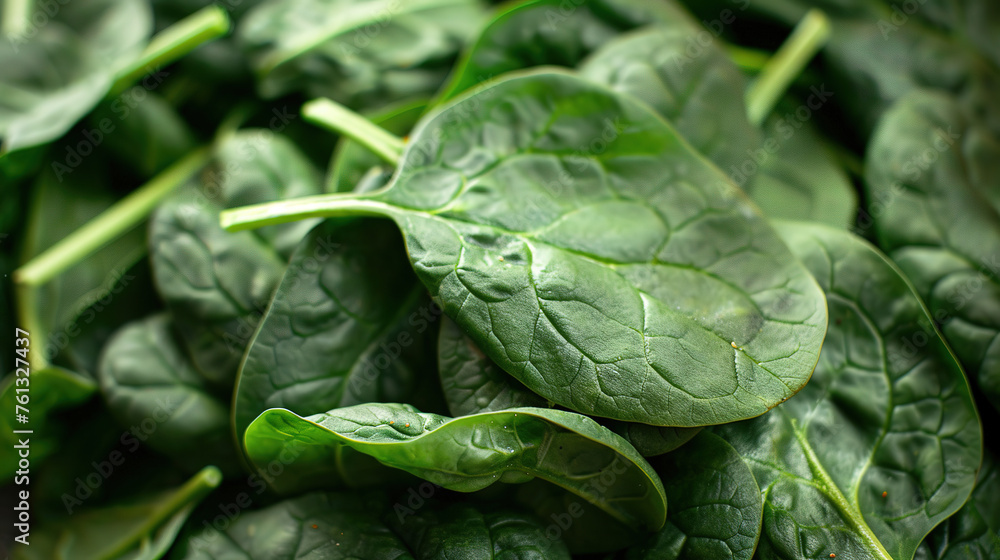 super Ultra closeup macro of spinach super Ultra closeup macro of spinach
