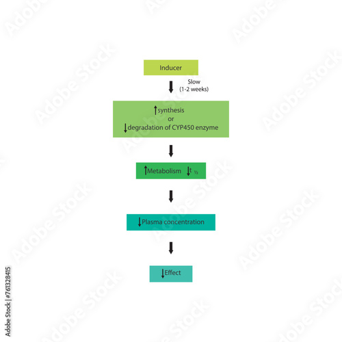 Isoxanthohumol skeletal structure diagram .prenylated flavonoid compound molecule scientific illustration on white background.
