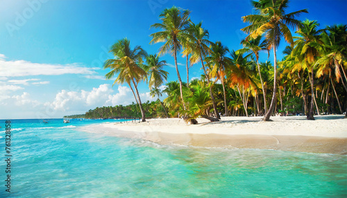 Tropical Beach in Dominican Republic: Palm Trees on Sandy Island in the Ocean