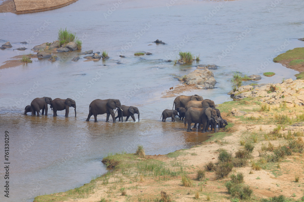Afrikanischer Elefant / African elephant / Loxodonta africana Afrikanischer Elefant / African elephant / Loxodonta africana