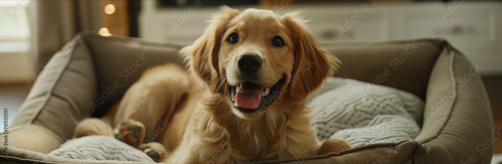 An adorable dog lies comfortably in a snug dog bed, emphasizing the pet's relaxation and comfort